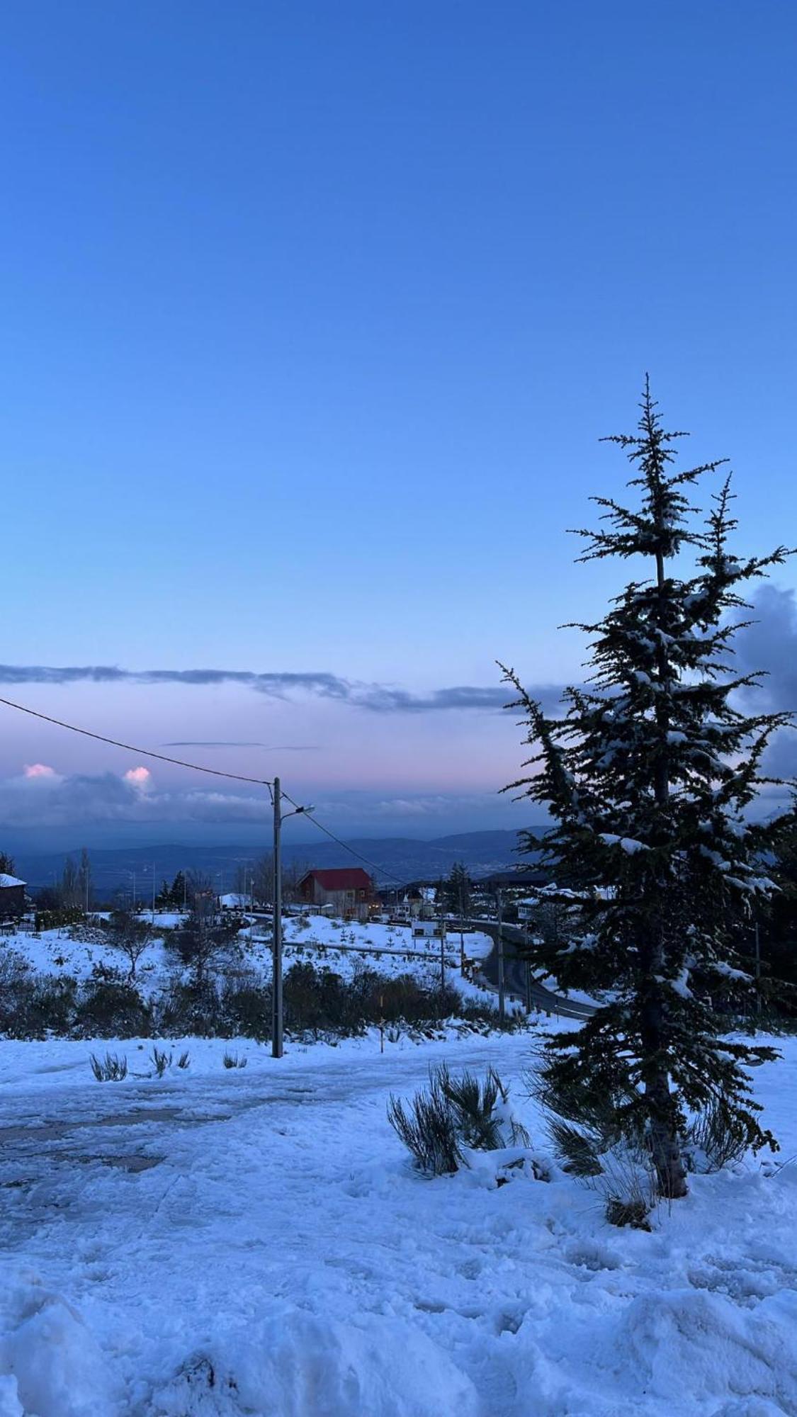 Casa Dos Pinheiros - Serra Da Estrela Penhas da Saúde Zewnętrze zdjęcie